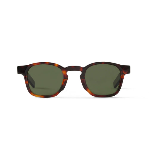 Enzo Sun Tortoise