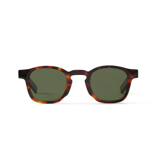 Enzo Sun Tortoise