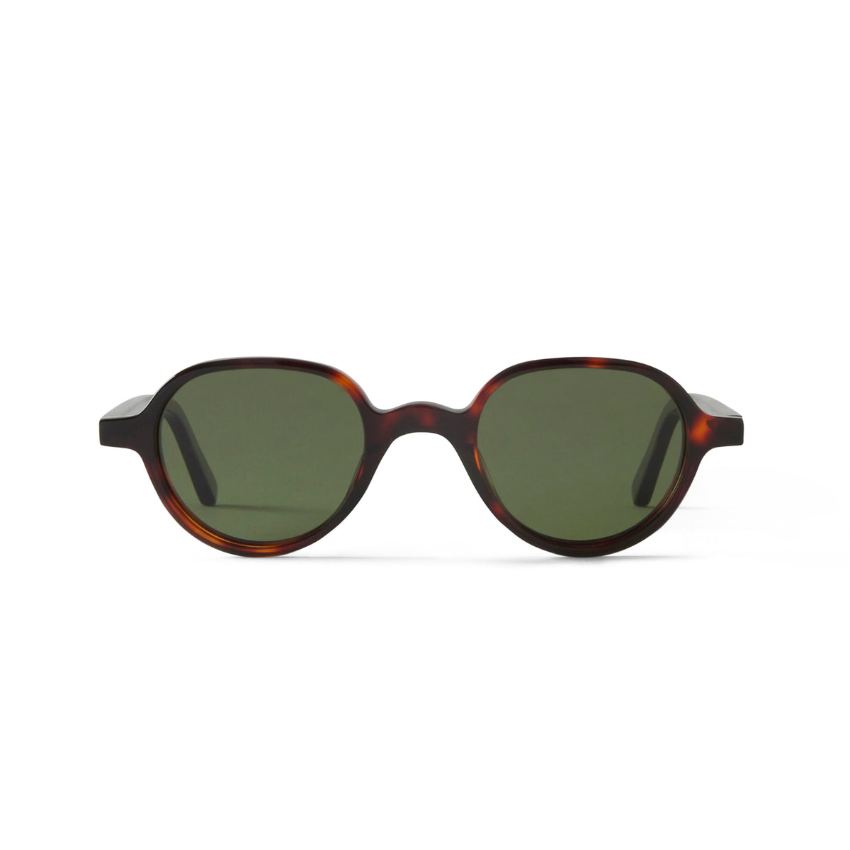 Gaby Sun Tortoise
