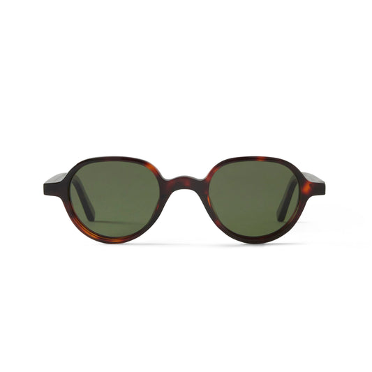 Gaby Sun Tortoise