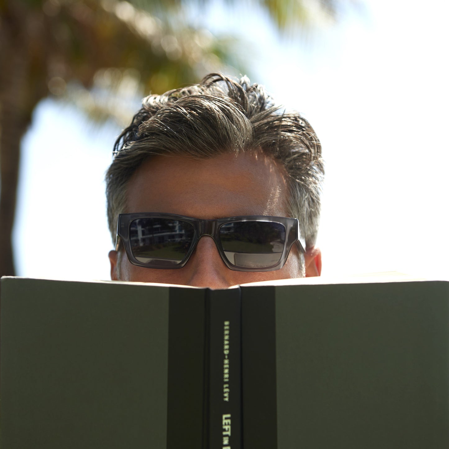 Aimé Sun Dark Tortoise