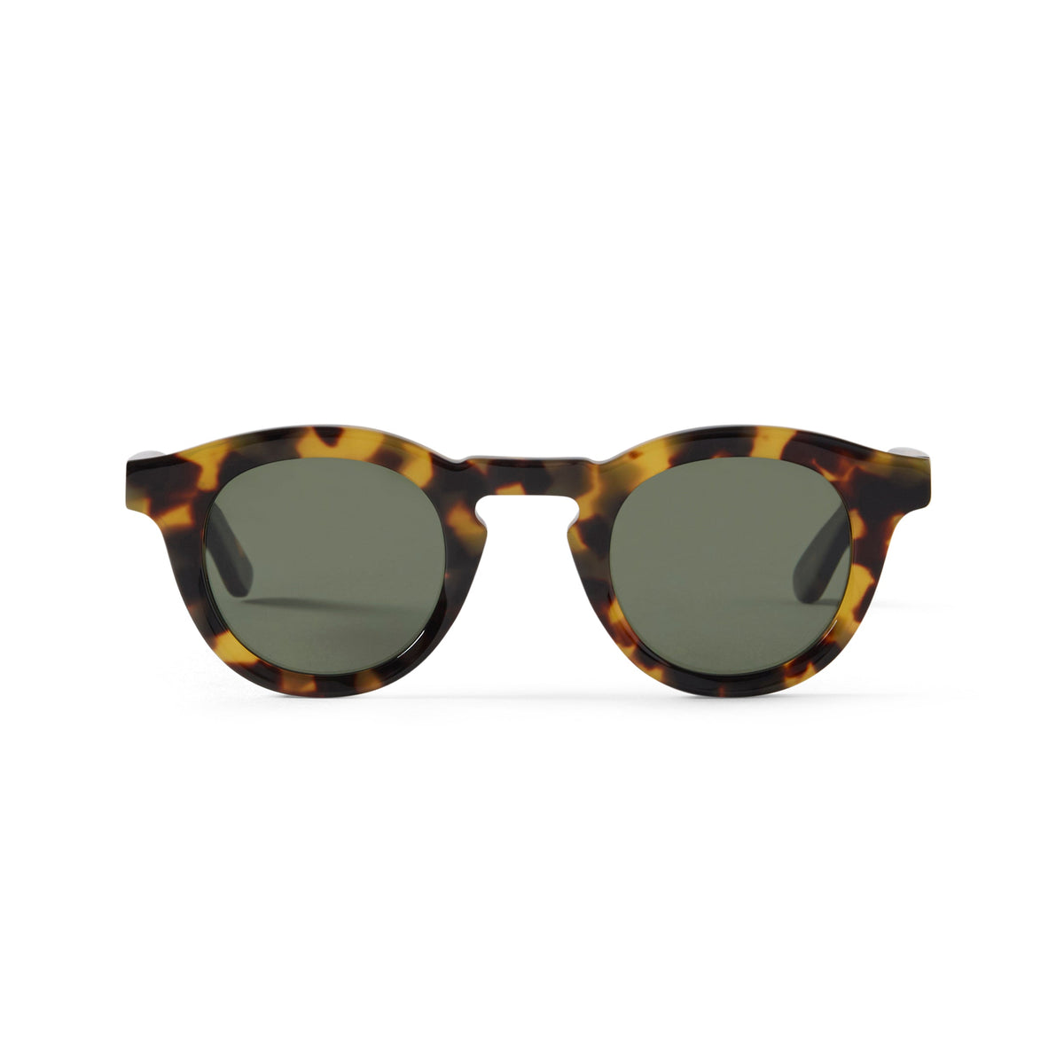 Jude Sun Yellow Tortoise