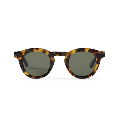 Jude Sun Yellow Tortoise