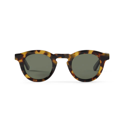Jude Sun Yellow Tortoise