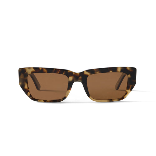 Kai Sun Tortoise