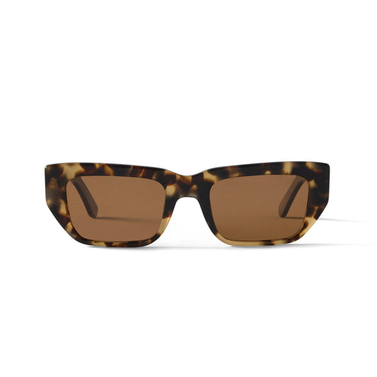 Kai Sun Tortoise