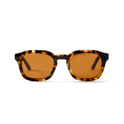 Oscar Sun Tortoise