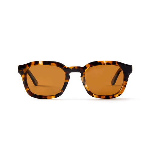 Oscar Sun Tortoise