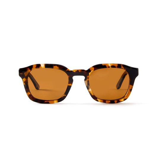 Oscar Sun Tortoise