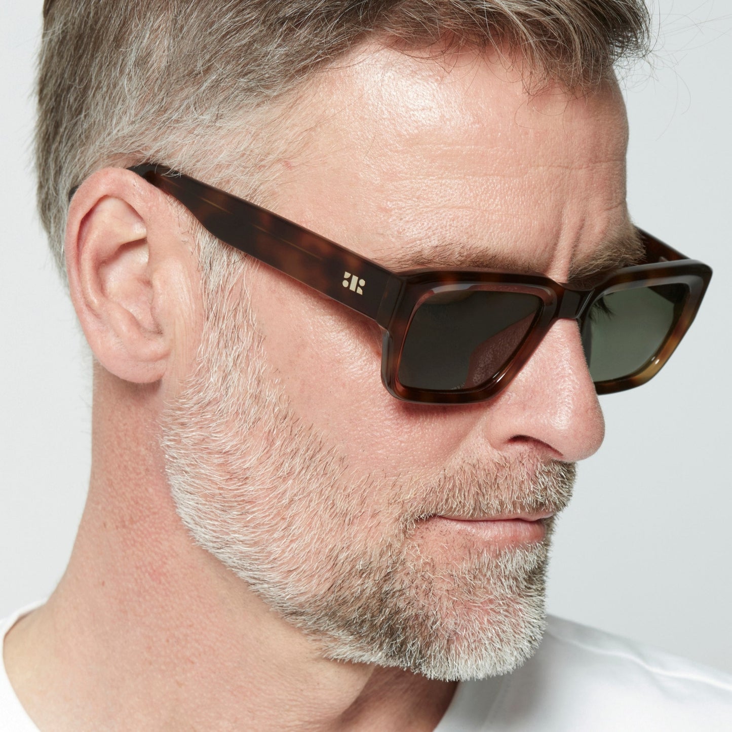 Henri Sun Grey Tortoise