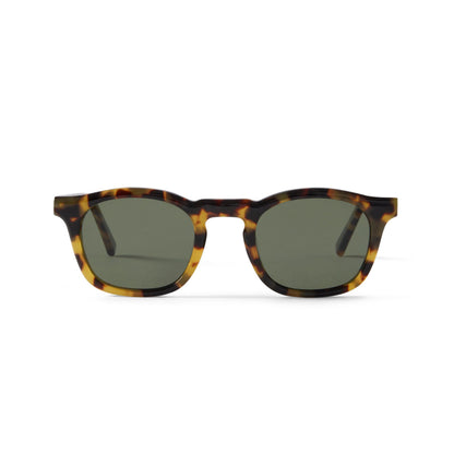 Thomas Sun Yellow Tortoise