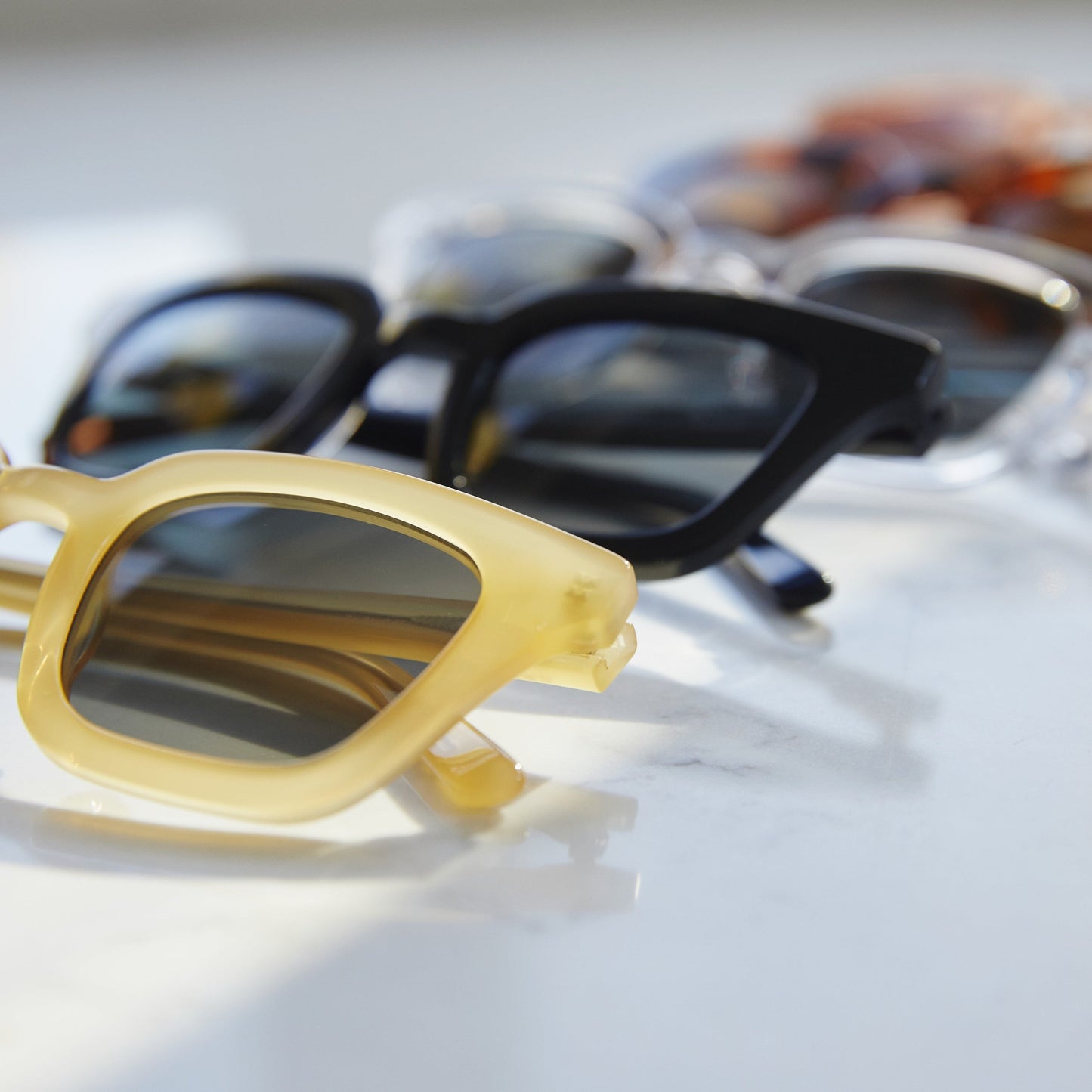 Ysée Sun Tortoise