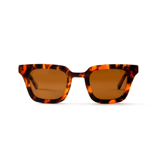 Ysée Sun Tortoise