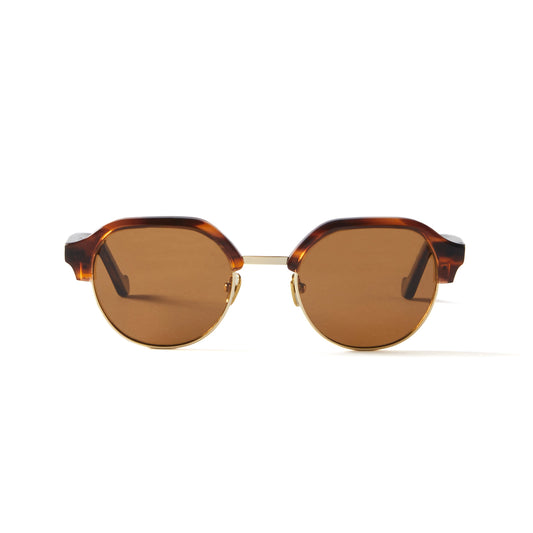 Teddy Sun Brown Marble